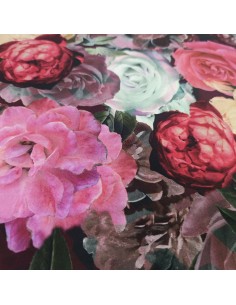 Taglio di 1.5mt Pura... 2