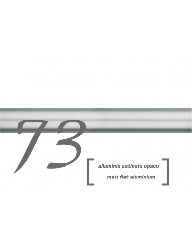 copy of Scorritenda Aries in...