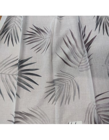 With Love AmazonForest, Croce's collection