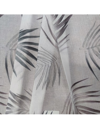 With Love AmazonForest, Croce's collection