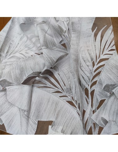 copy of Bellissima, Croce'collection