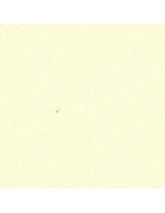 Stamoid Easy Copertura...