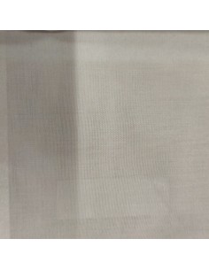 copy of Whitney, Via Roma60 2