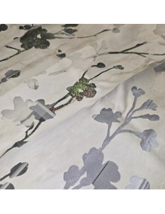 Ansel, Via Roma60 2