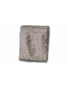 Plaid in micropile Ellux...