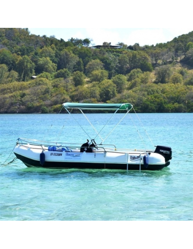 Tendalino Elegance 2 Archi - tubo in...