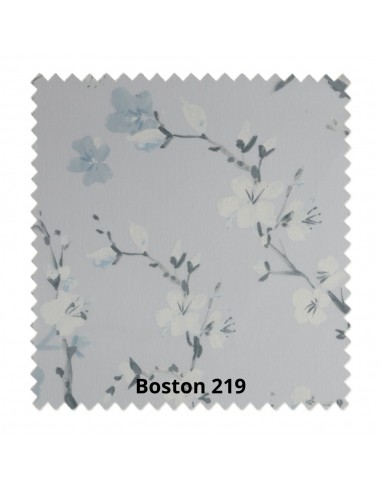 Tenda a Rullo Boston 219