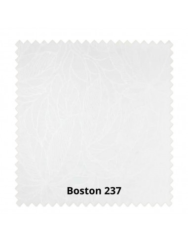 Tenda a Rullo Boston 237