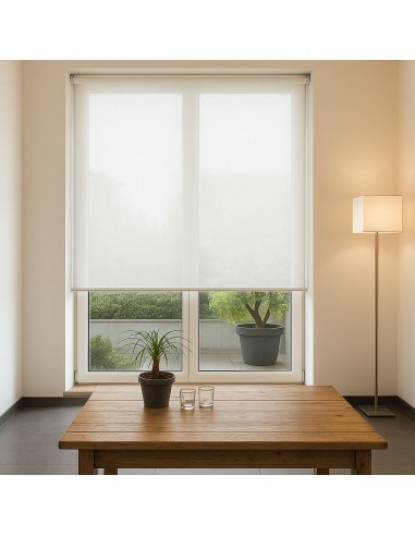 tenda a rullo caracas 01