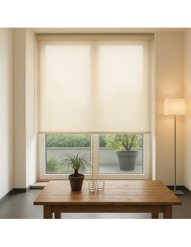 tenda a rullo caracas 3