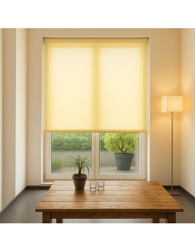 Tenda a rullo caracas 04