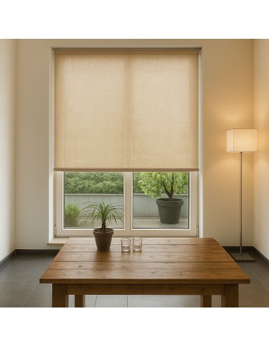 Tenda a rullo caracas 08