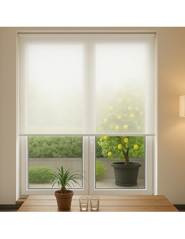 tenda a rullo caracas 00