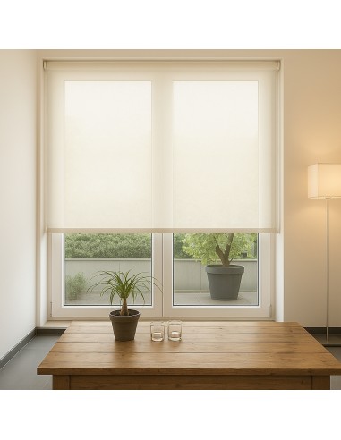 tenda a rullo caracas 02