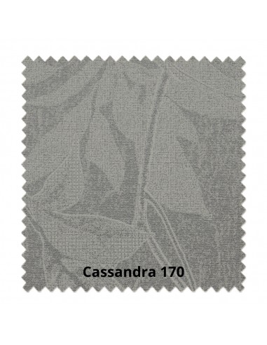 Tenda a rullo Cassandra 170