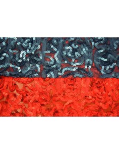 Tulle ricamato e paillette 2