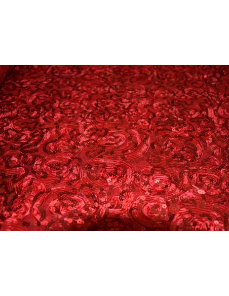 Tulle ricamato e paillette