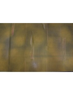 Chiffon Crespato verde sfumato