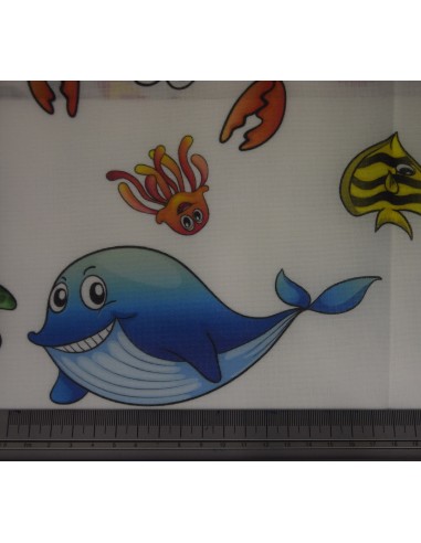 Levanzo Tendaggio Alberi Stilizzati, Via roma 60