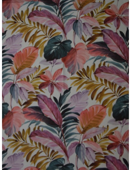 Marettimo Fogliage, Via roma 60