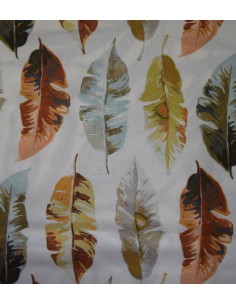 Amazonica Foglia, Premium Croce collection