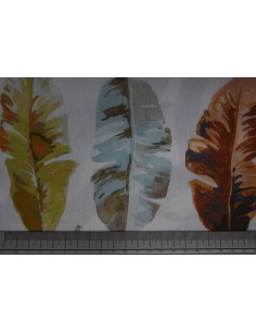 Amazonica Foglia, Premium Croce collection 2