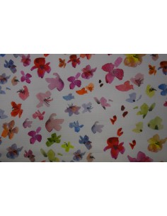 Marta Floreale, Premium Croce collection