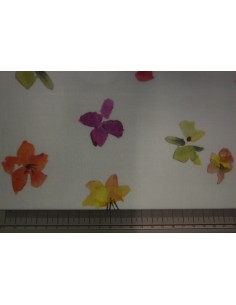 Marta Floreale, Premium Croce collection 2