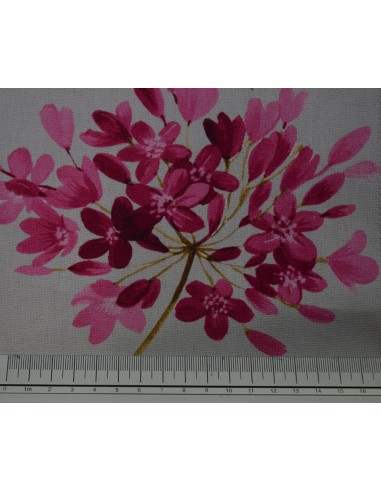 Ibiscus Floreale, Premium Croce...