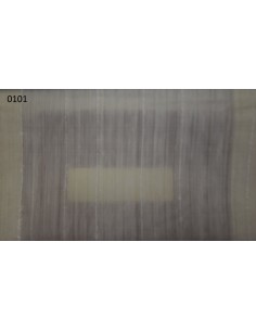 Spartaco, Via Roma 60 2