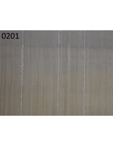 Spartaco, Via Roma 60