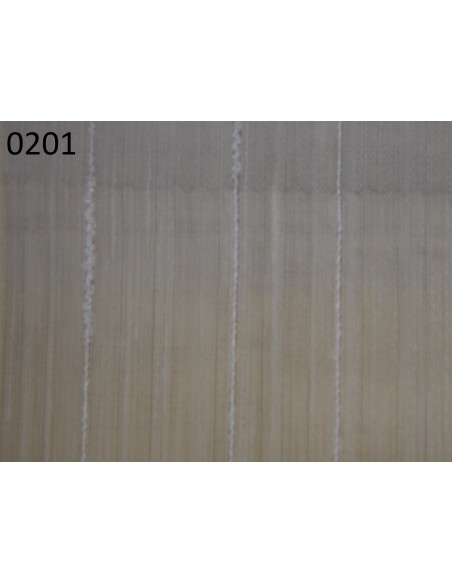 Spartaco, Via Roma 60