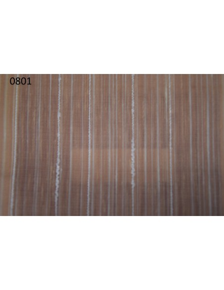 Spartaco, Via Roma 60