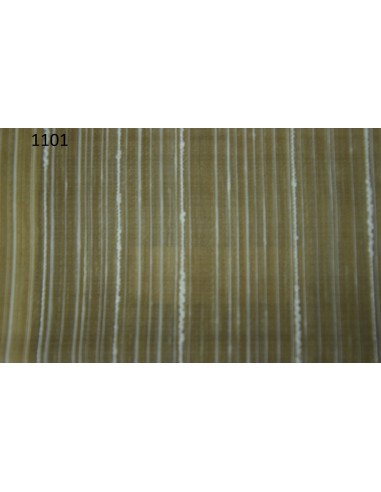 Spartaco, Via Roma 60