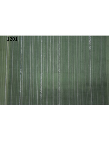 Spartaco, Via Roma 60