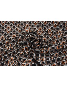 Raso opacizzato Drago e Fenice 2