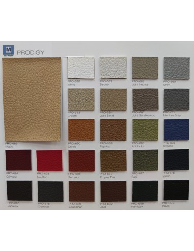 Prodigy 25 Colori