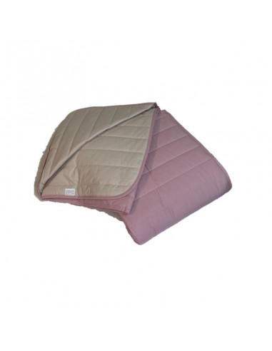 Trapuntino 1 Piazza Basic