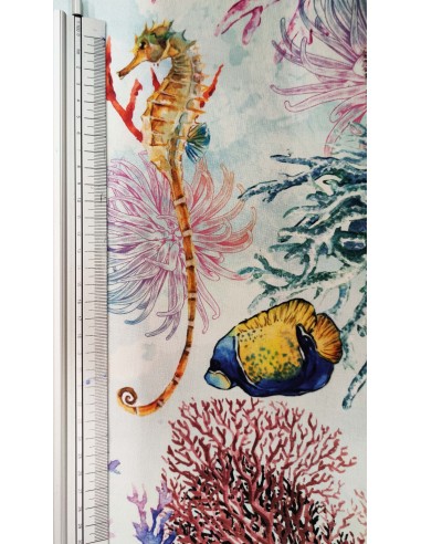 Panama Maldive Digital