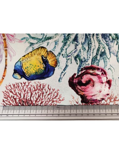 Panama Maldive Digital