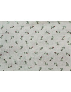 New Cloe, Via Roma,60 2