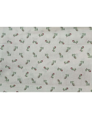 New Cloe, Via Roma,60