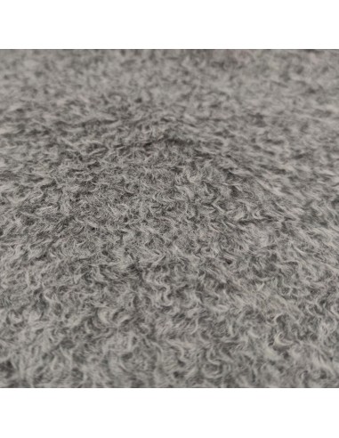 Orsetto Grigio